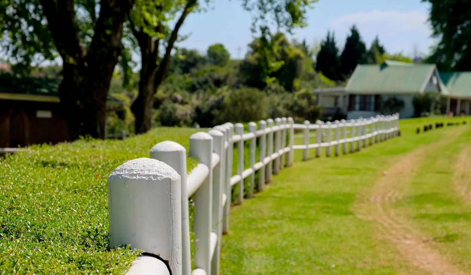A white post and rail fence running along mown grass towards a line of trees
